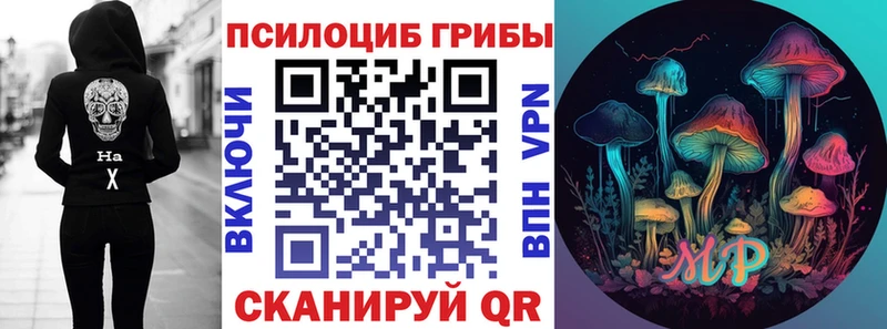 Псилоцибиновые грибы Cubensis  mega tor  Красноперекопск 